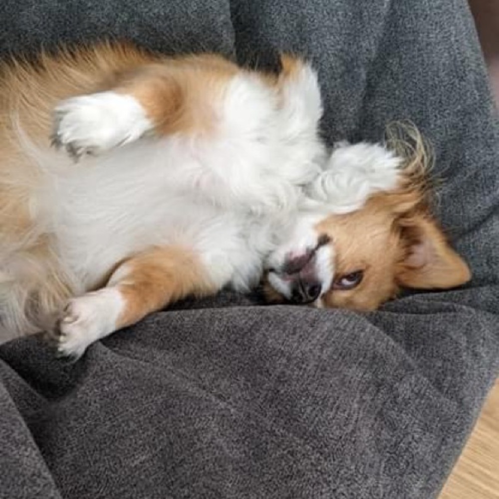 Meet your Posher, Maria